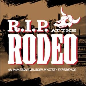 Brand New Sealed Murder Mystery Game From Hunt A Killer Solve the Crime NEW